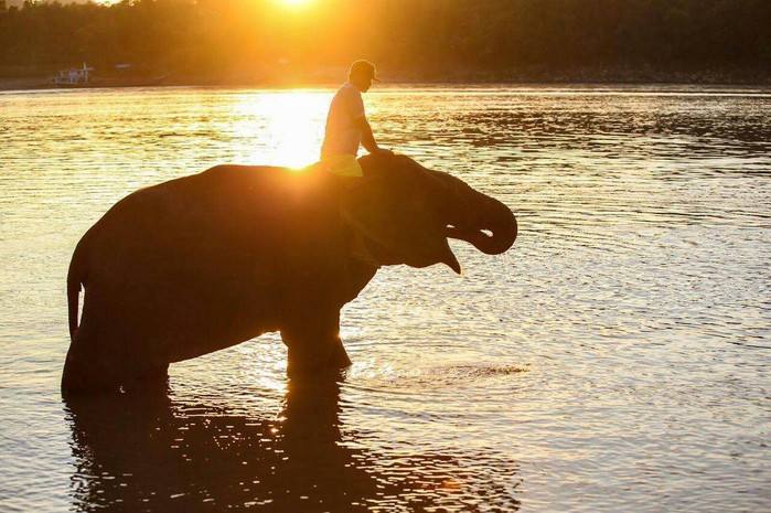 象与骑象人追求幸福的科学方法