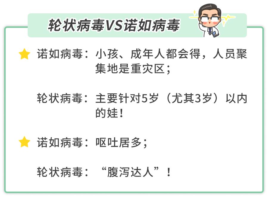 另一"网红"诺如病毒,症状与此也十分相像.