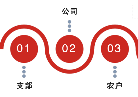 主体建立利益联结机制后,市场主体有偿使用,村集体获得固定分红收益