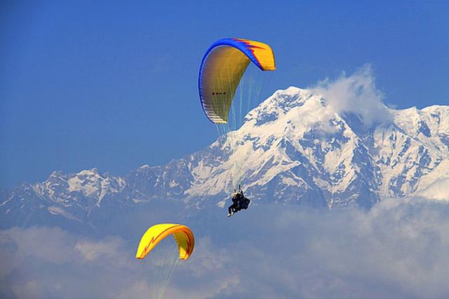 自由我也向往过