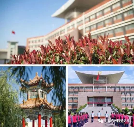 用心做教育用爱铸师魂遂平三中举行师德师风教育报告会