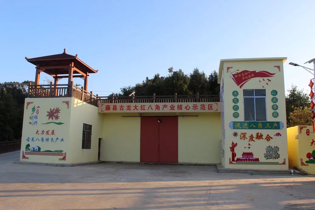 改字当头精准发力古龙镇八角产业加快发展