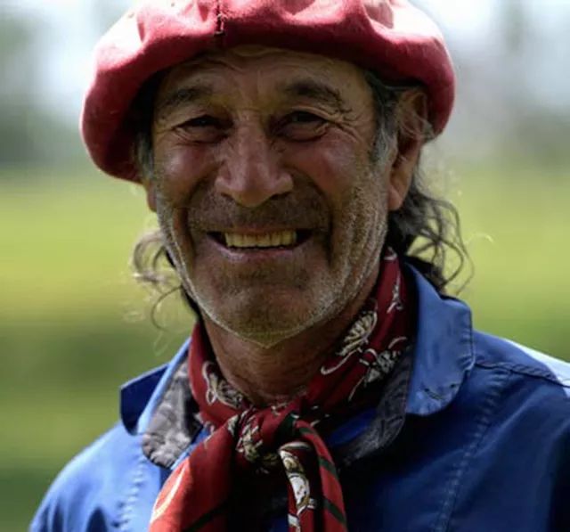 南美洲马文化传奇潘帕斯草原上的牧马人