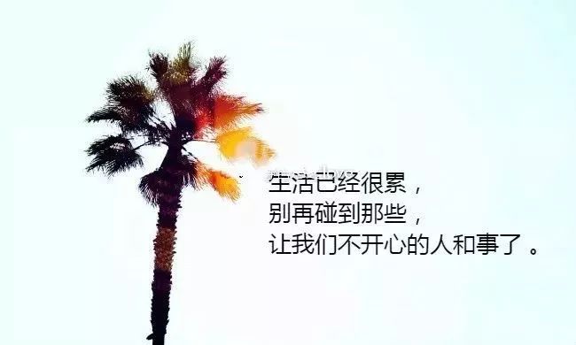 致自己简短现实的情感句子,句句扎心