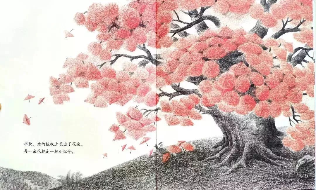 树妈精选绘本雨伞树