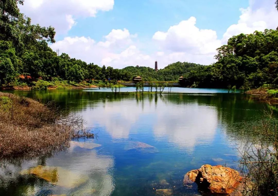 平日周末同价599元套相聚江门鹤山天麓湖碧桂园凤凰酒店享美食家庭