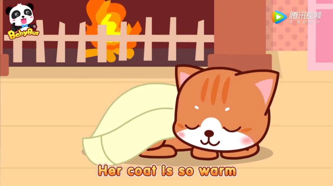 家中的小猫咪是我最好的伙伴!_warm