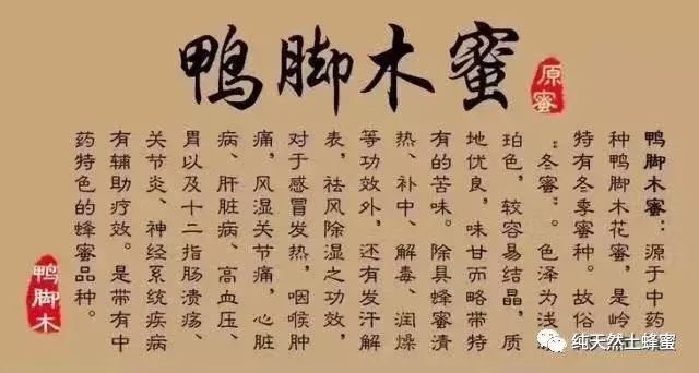 鸭脚木蜂蜜的作用(鸭脚木蜂蜜和普通蜂蜜)