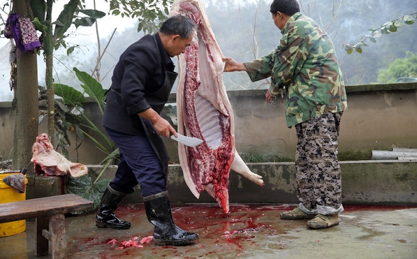 为啥在农村一些屠夫明明长得非常壮实却常活到五六十就没了