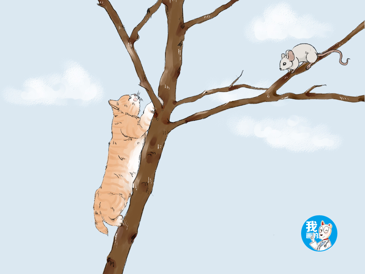 原创一只猫咪不停往树上爬男子很好奇手机镜头放大后捏了把汗