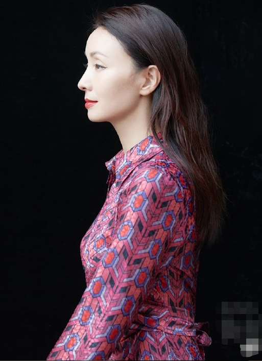 47岁陶虹拍摄最新杂志照优雅美丽如画中人真心羡慕徐峥