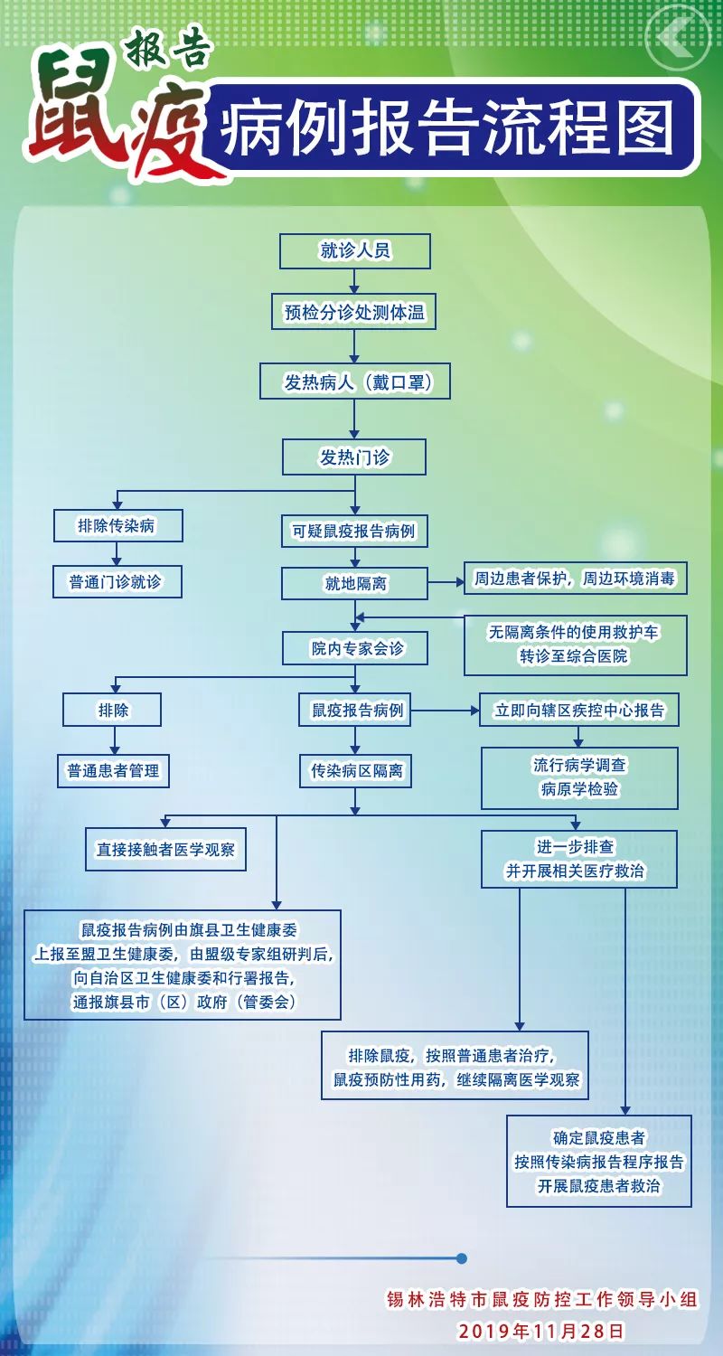 报告鼠疫病例,流程是这样的