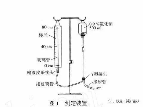 扳机点排尿法图片