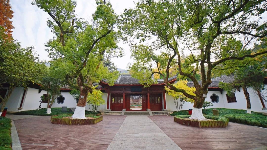 是需要缘分的大明堂里的银杏不言不语静静地等待着游人当光线渐渐变暗