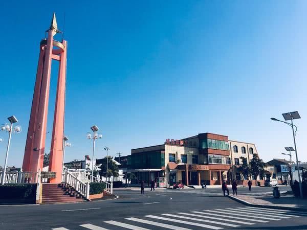 焦作大学发起的三走黄河研学活动抵达温县