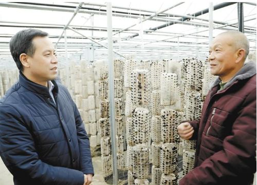 柞水县委书记陈璇小康路上一个都不能少