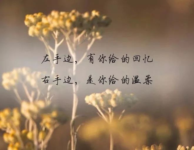 个性说说