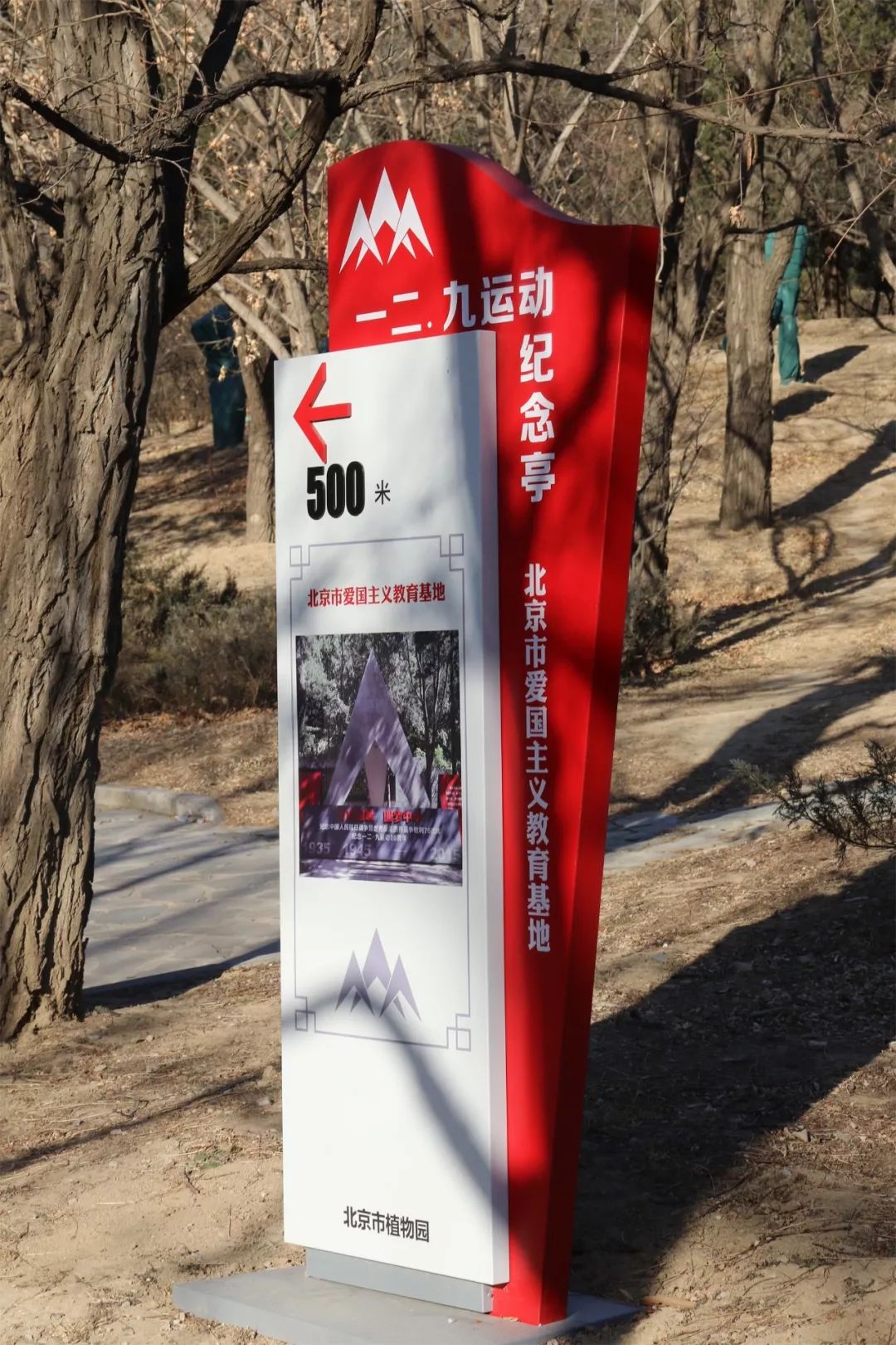 中昌平学校举行传承爱国情 追梦新时代纪念一二·九运动84周年