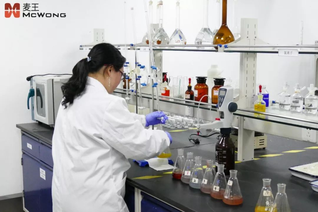 麦王工业水处理技术研发与创新中心揭幕仪式