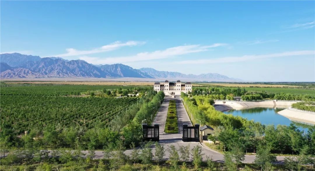 八载春秋丨贺兰山下酿造不凡