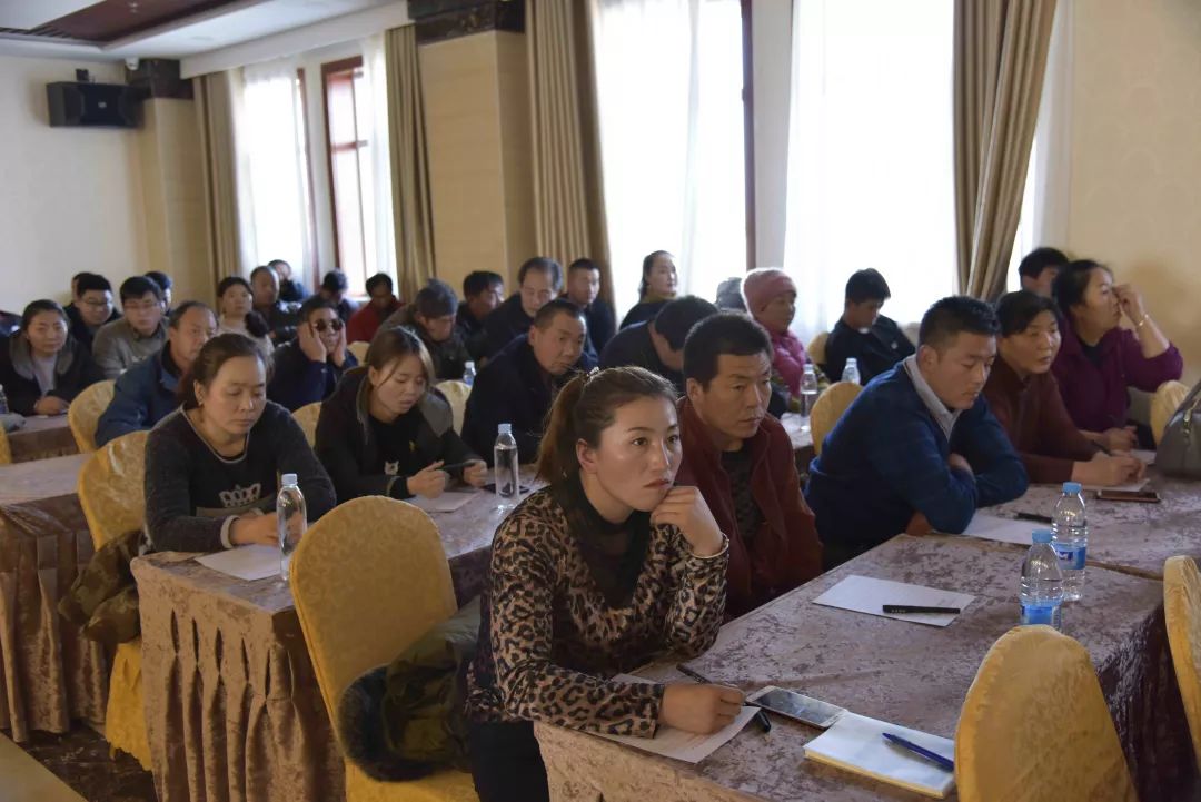 春光集团冬季安全教育培训班成功举办