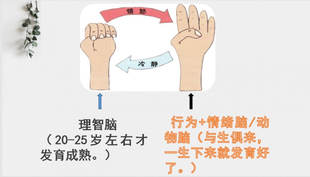 关爱青少年健康成长,"大家·小家"合力助推工程——走进和平上东社区_