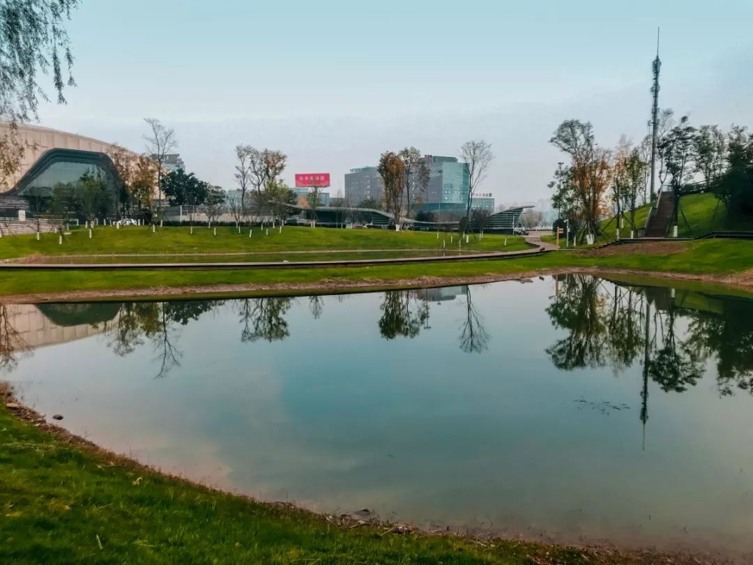 公園城市新區印象科學城山地公園繪就生態綠底色