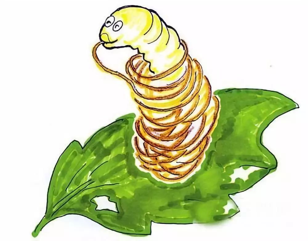 第四届"芙蓉杯"全国文学大赛入围散文作品—《作茧自缚》