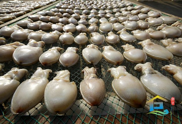 晒鱼鲞北仑人的年味情结