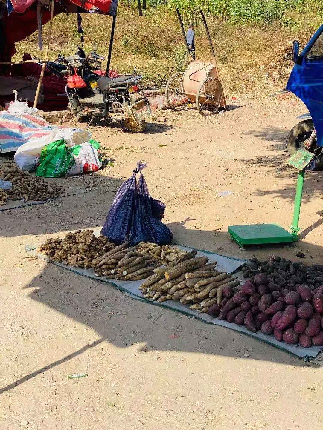 此处配音:妈妈,我要吃烤山药.被命运掐住脖子的鸭子.