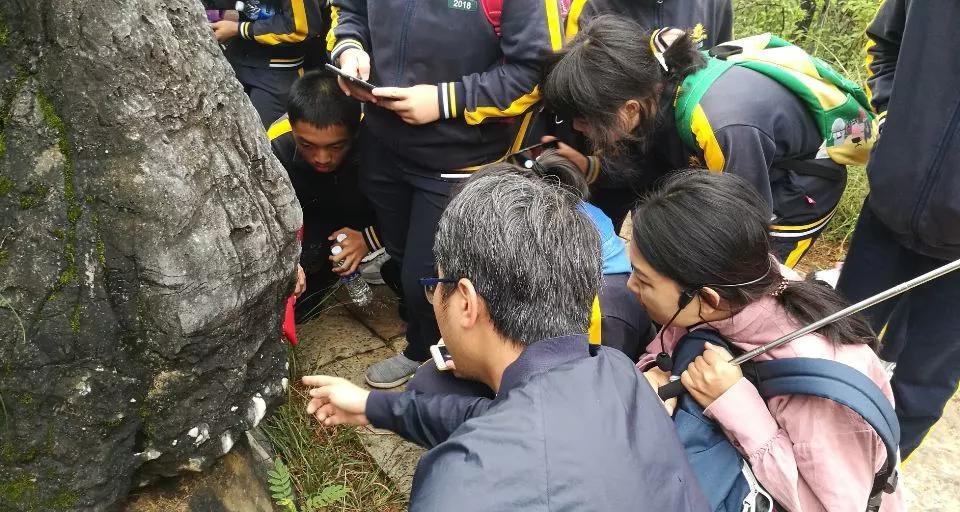 學習地質勘探知識尋找昆蟲植物化石挖掘地球寶藏開採石中精靈冰雪白堊