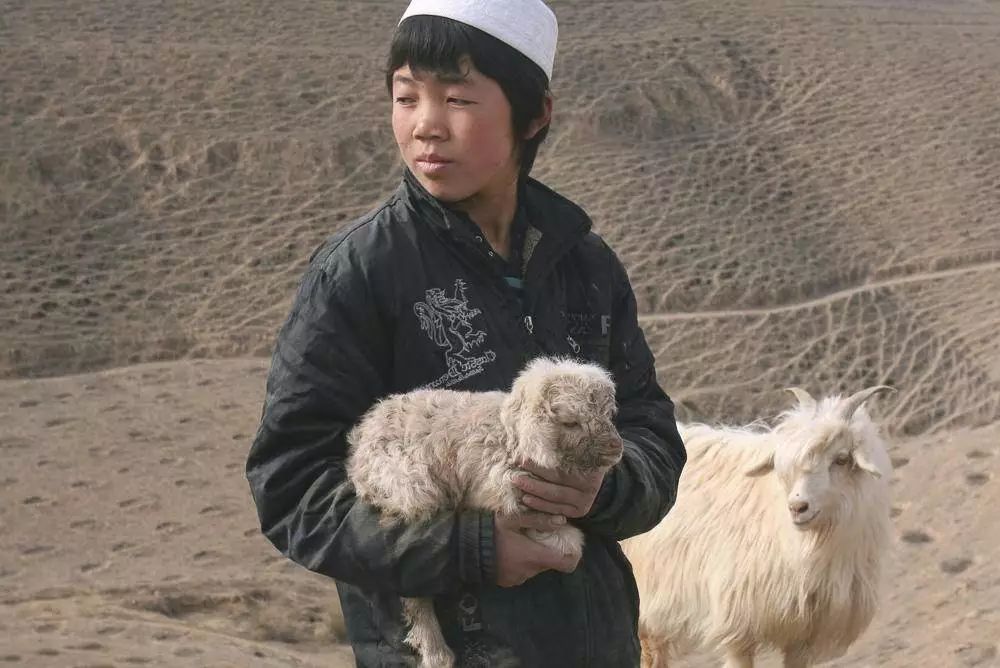 抖音到来之前的西海固正午视觉