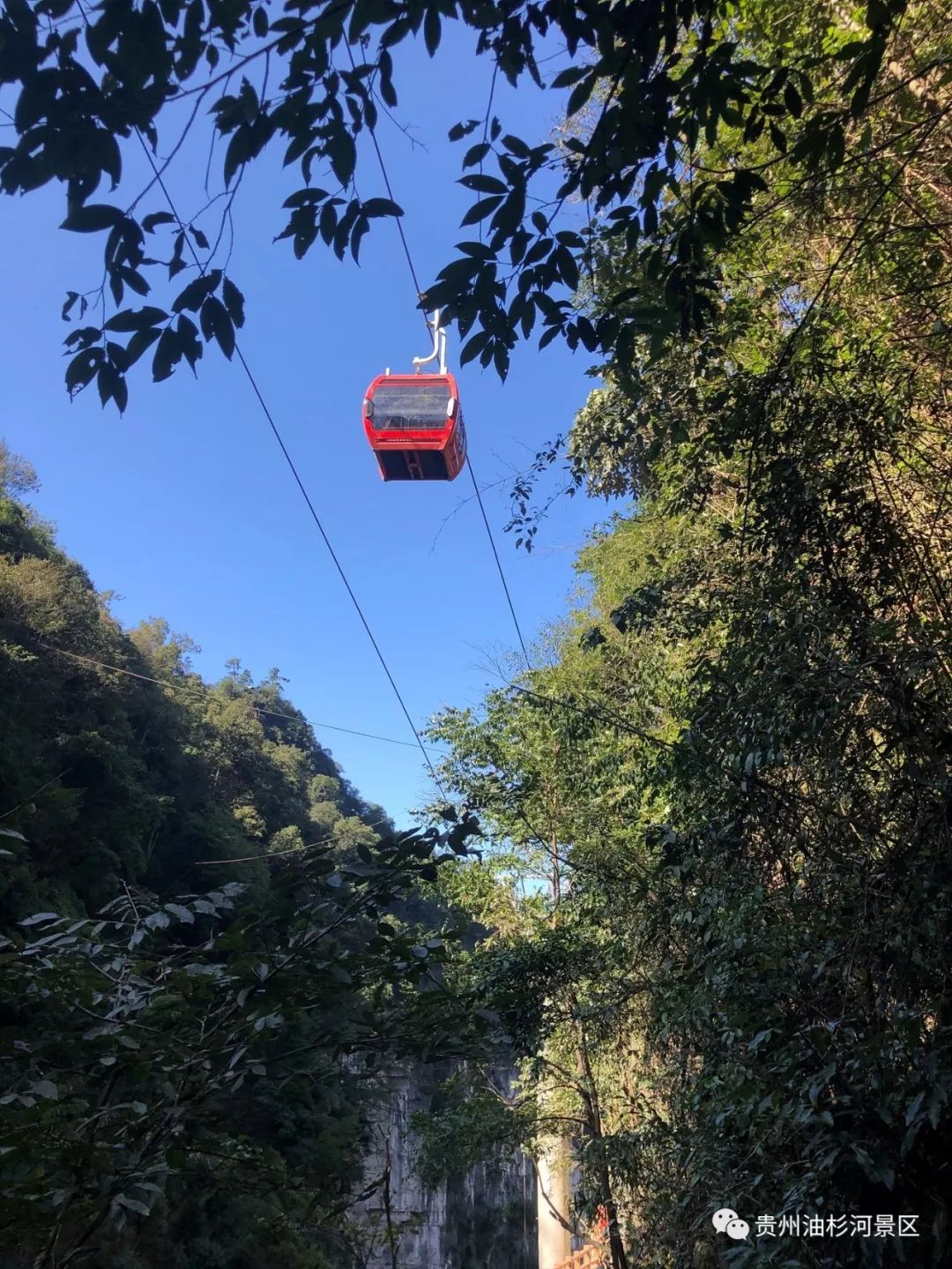 游山游水油杉河的第一条索道