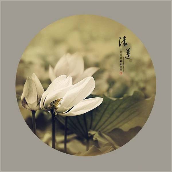 得到的是福,失去也是缘!