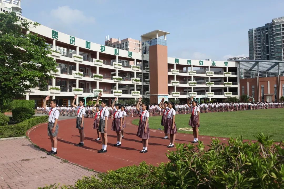 致力绿色教育实践探索,育才四小获"南山区人民政府质量奖"