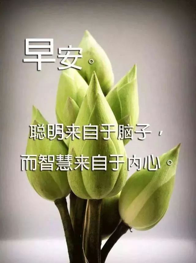 早上好暖心祝福语优美句子,漂亮早安静态问候美图