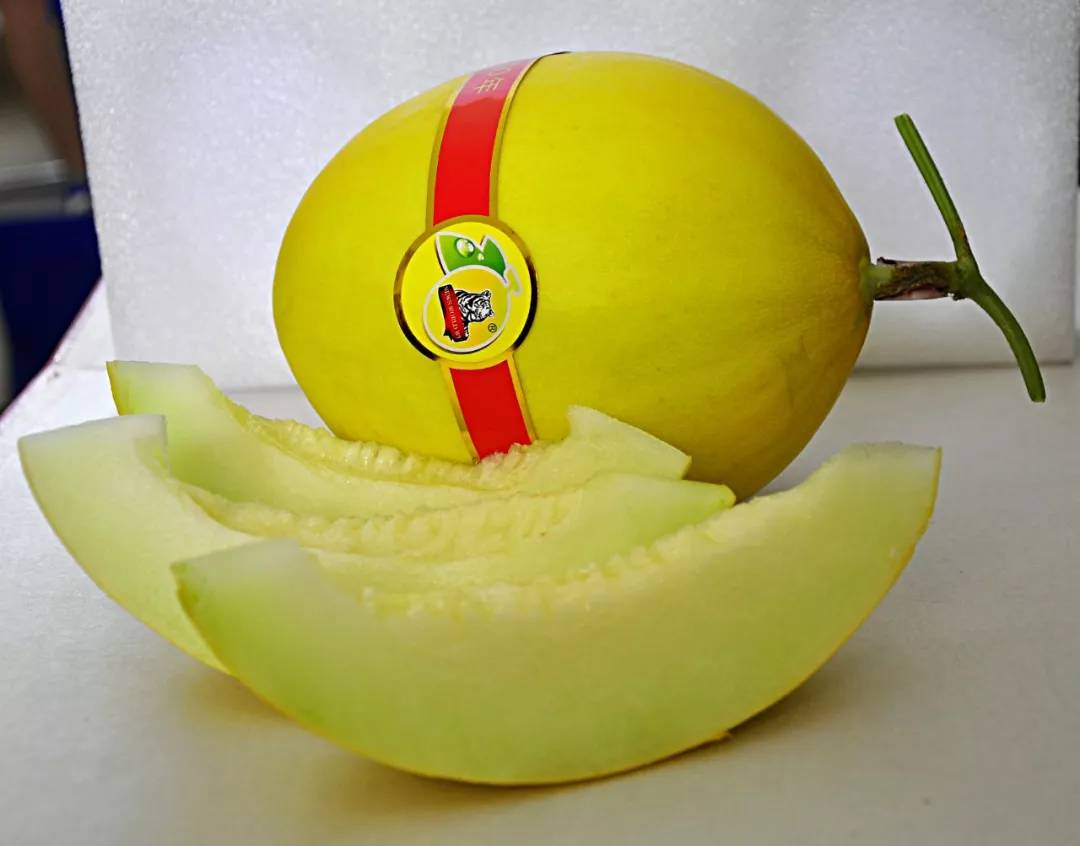 这瓜太甜海南冰糖蜜瓜又火了一次