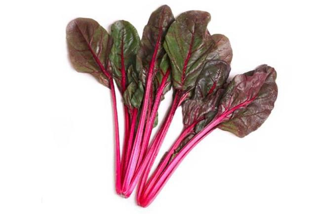 食课studio轻食沙拉,"微型蔬菜"种类分享_叶甜菜