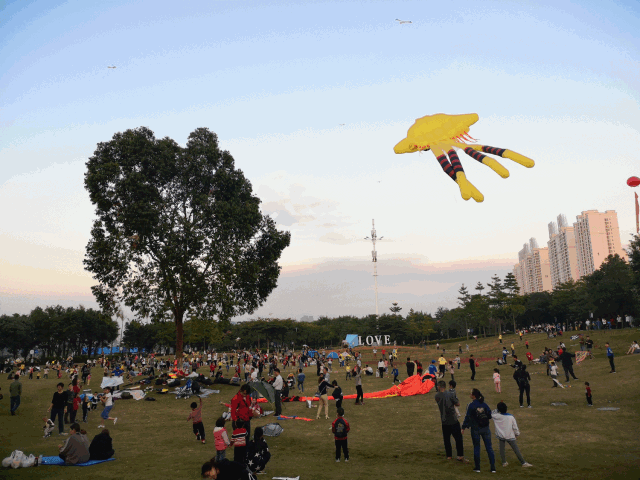 东莞爆品百花洲放风筝摘草莓看飘雪机动项目通玩简直太爽了