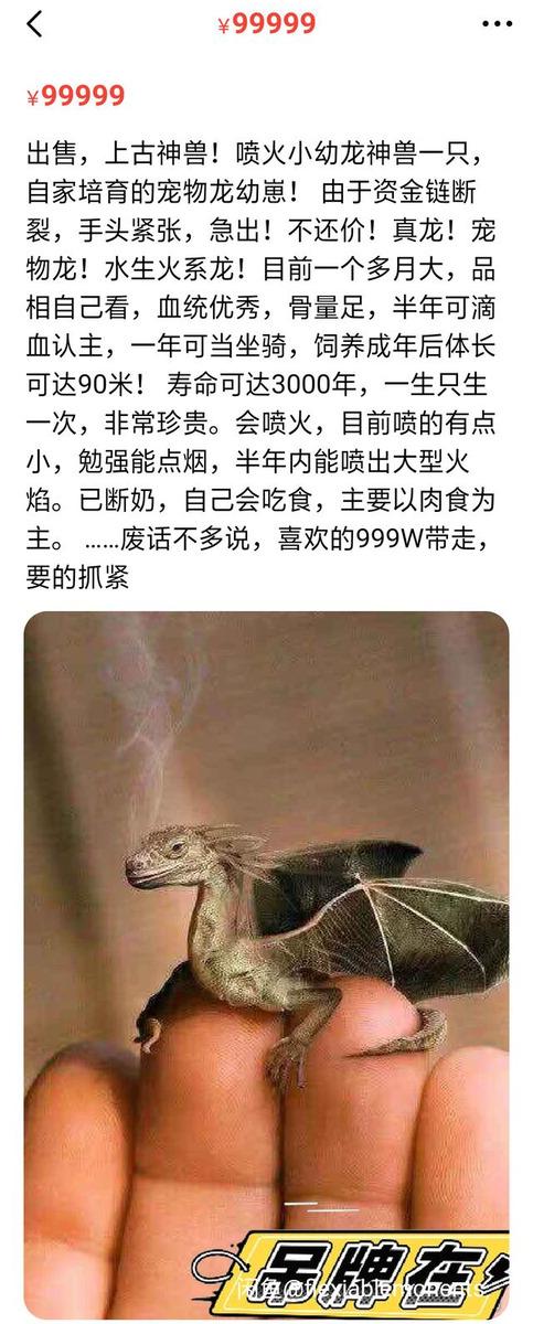 搞笑图片,闲鱼上的"神兽"大盘点,你最喜欢哪一款?