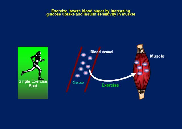 哈佛大学专家告诉你如何告别t2dm