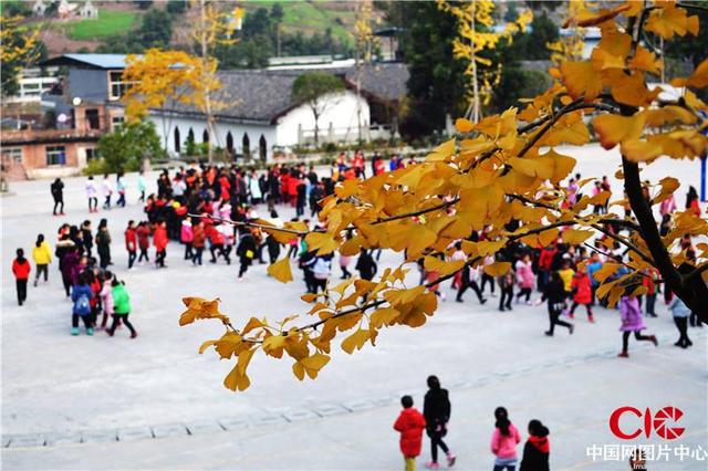 重庆市云阳县彭咏梧小学手工社团“编织秋天童话”(图6)