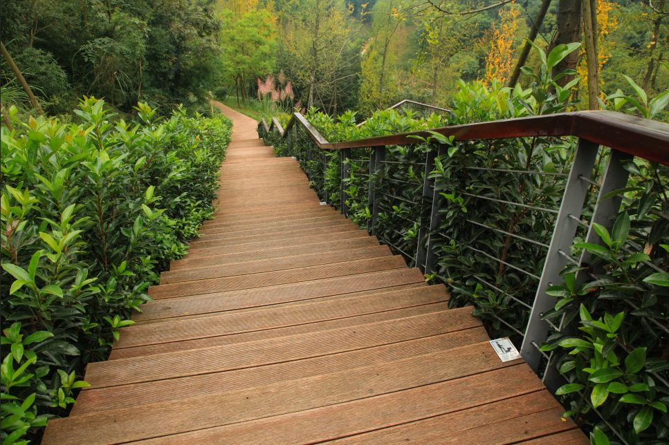 公园城市 · 新区印象 | 科学城山地公园 绘就生态"绿"底色_栈道