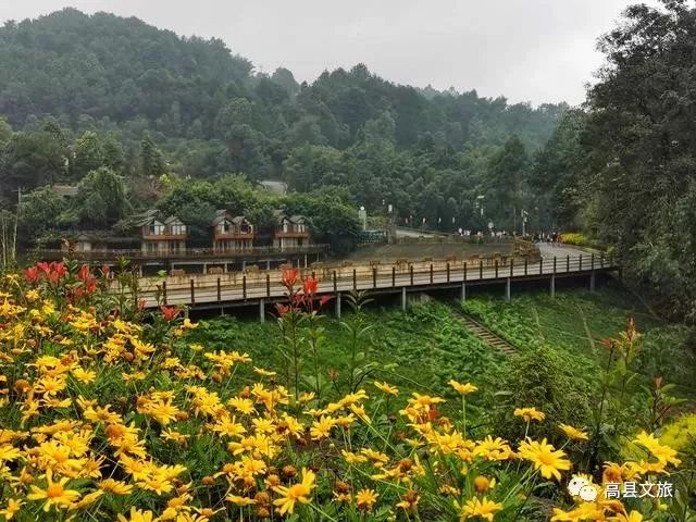 市裡傳來消息,高縣又一個國家4a級旅遊景區通過驗收!_大雁