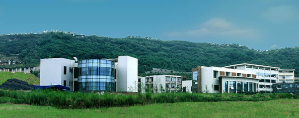 华邦健康991万全资控股大美大新重点布局旅游业