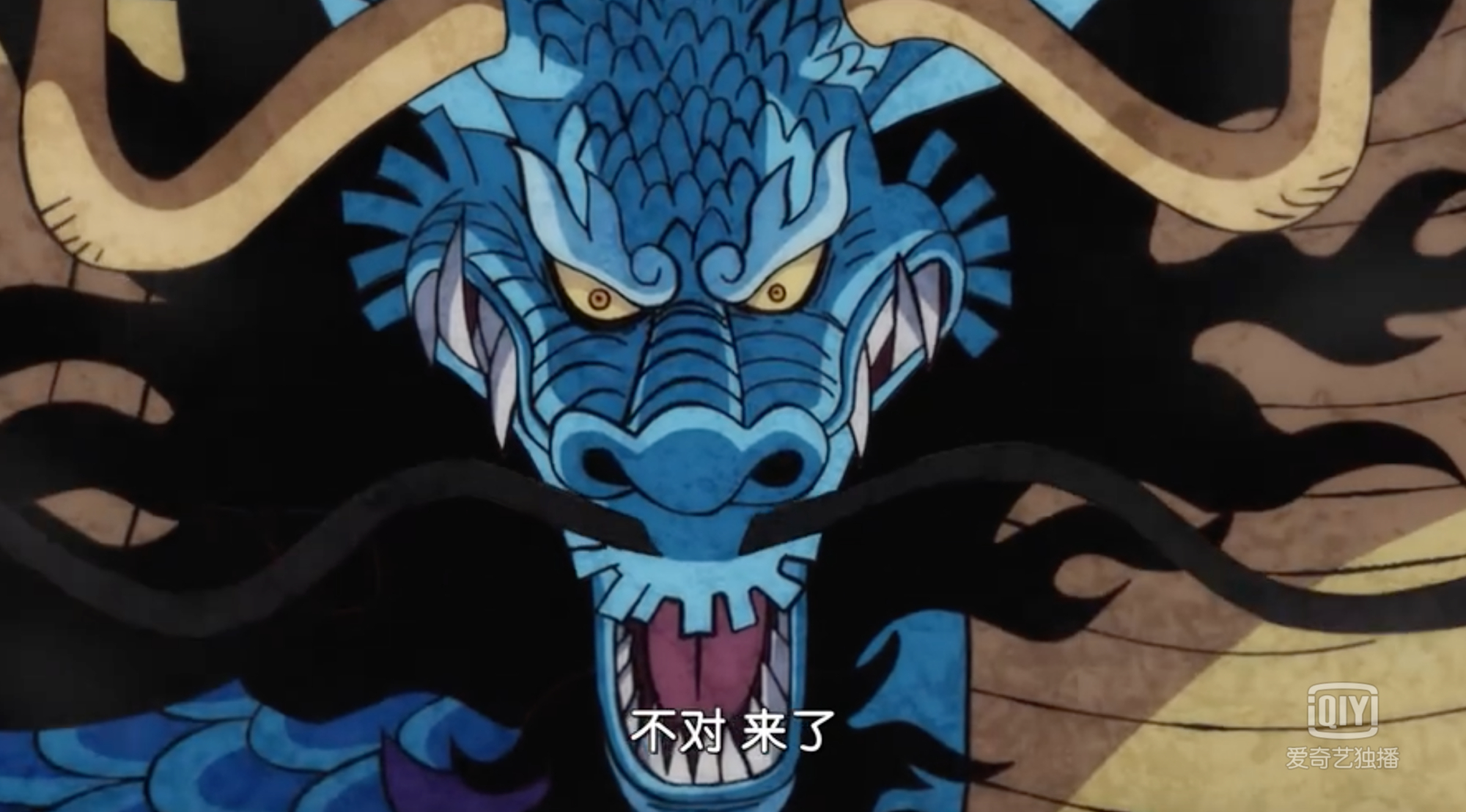 在上周日更新的海贼王来看,凯多变化成龙这个画面真的让无数海米感到