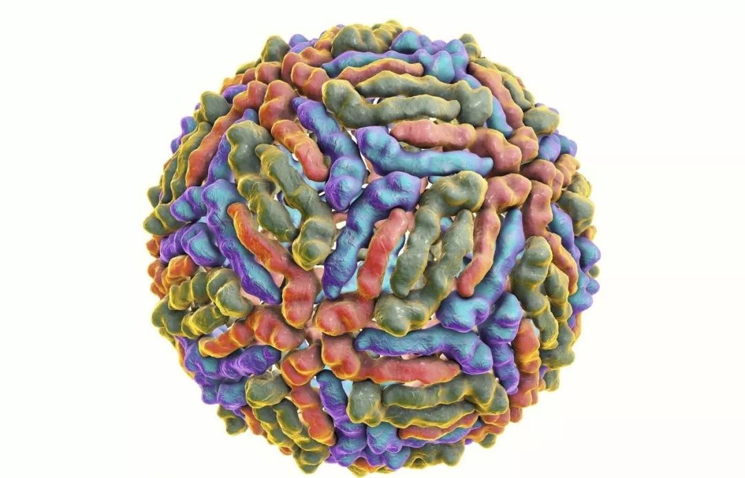 看不见的敌人,没有硝烟的战争