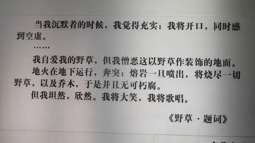 鲁博参观记:感受鲁迅的温度