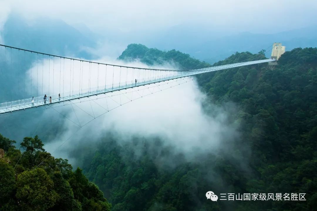 三百山玻璃索桥图片