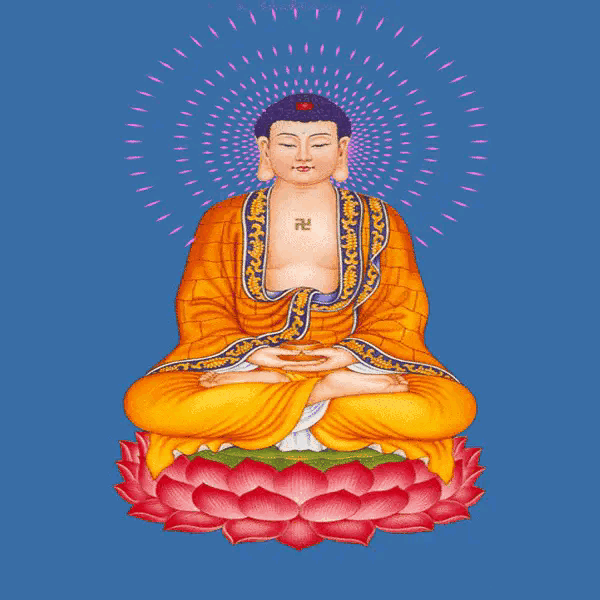 南无阿弥陀佛,见者一起礼拜,福气满满